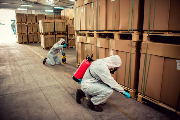 Best Termite Control Services  in Scottsboro, AL