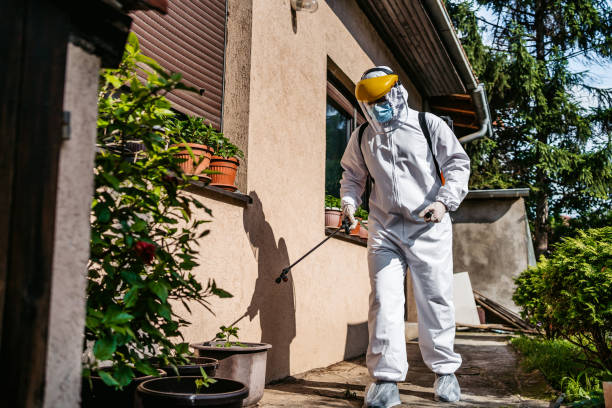 Best Emergency Pest Control  in Scottsboro, AL