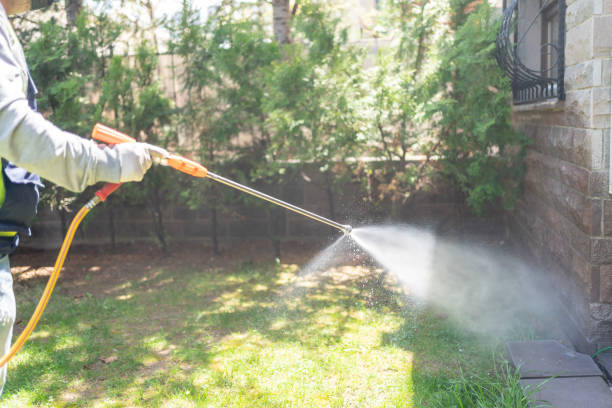 Best Pest Control Near Me  in Scottsboro, AL