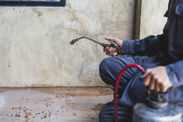 Best Pest Control Near Me in Scottsboro, AL
