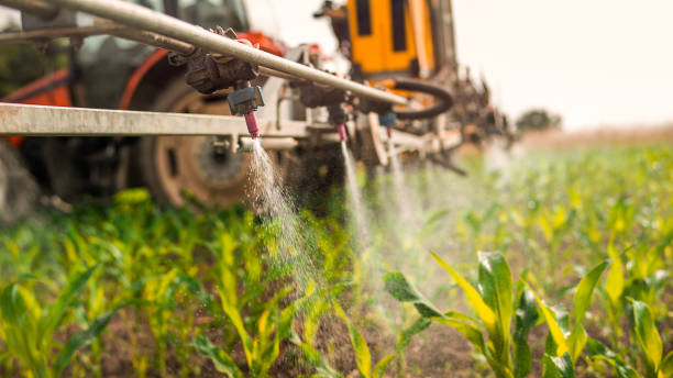 Best Pest Removal Services  in Scottsboro, AL