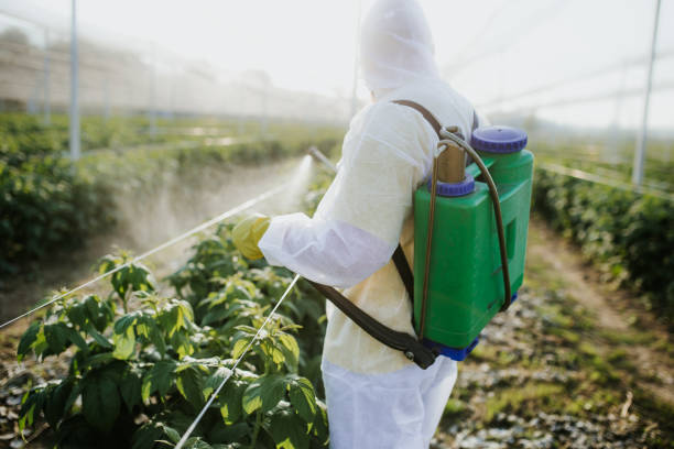 Best Affordable Pest Control Services  in Scottsboro, AL